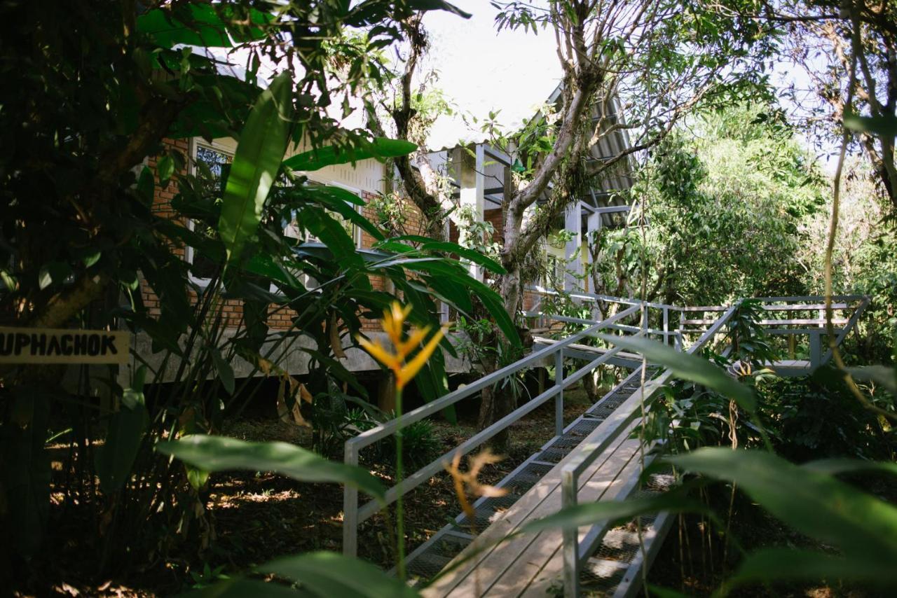 Aum Hum Homestay Fang Kültér fotó