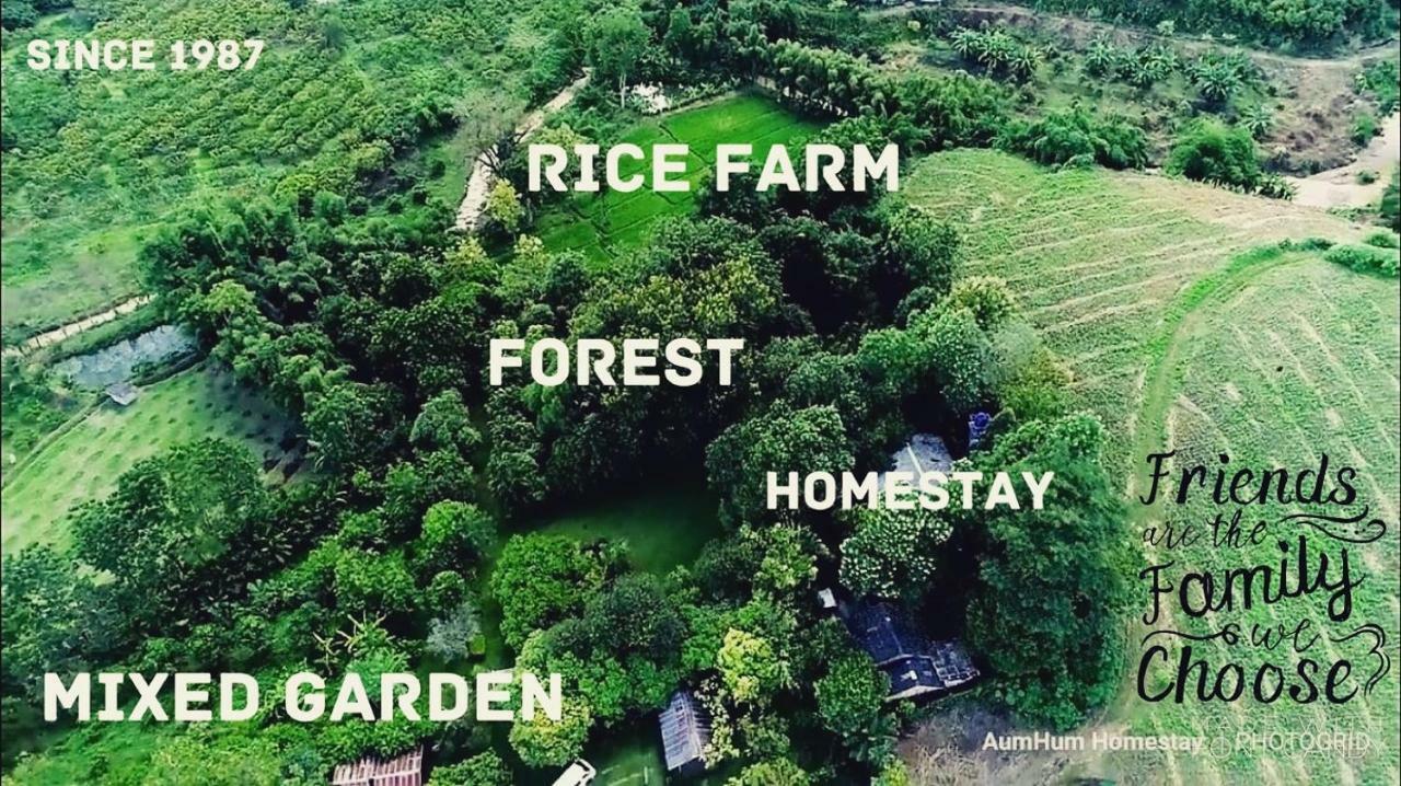 Aum Hum Homestay Fang Kültér fotó